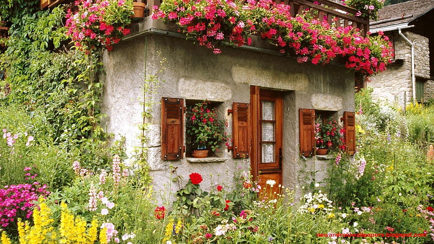 Lovely Home Flower Garden, jardín de casa fondo de pantalla | Pxfuel