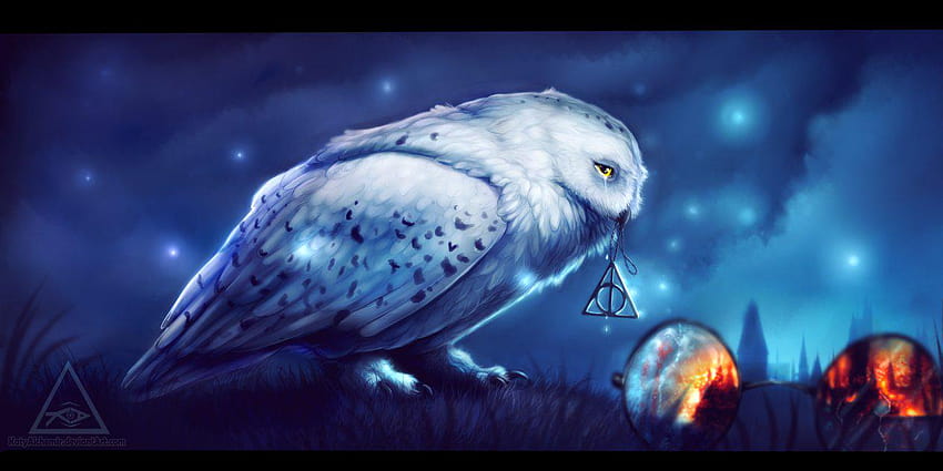 Ciekawostki i cytaty z Harry'ego Pottera na Twitterze:, Harry Potter Hedwig Tapeta HD