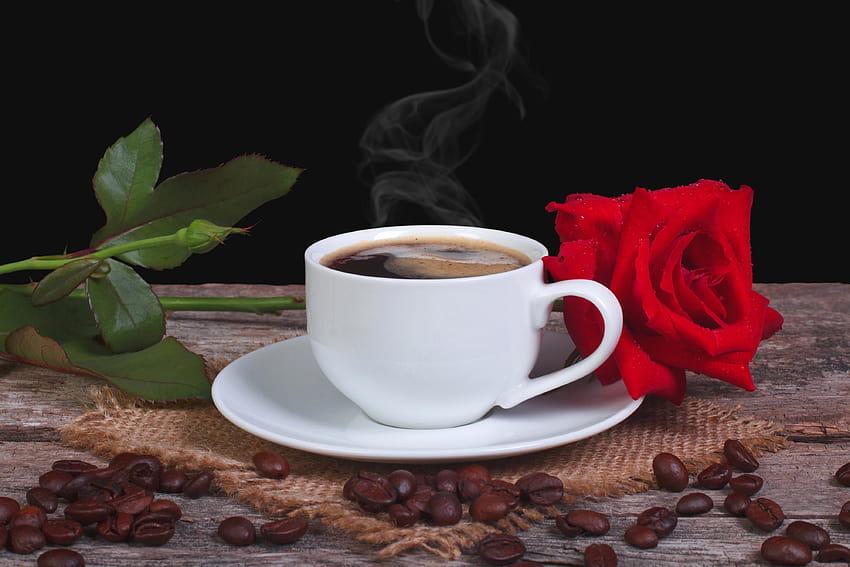 Red Rose and Coffee Backgrounds, hot coffee and roses HD wallpaper