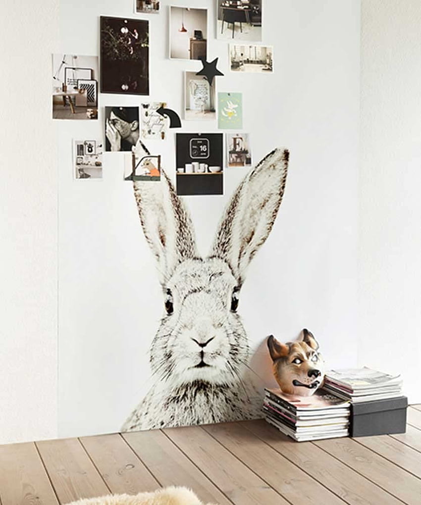Magnetic with Rabbit – Size l.63,5 H.265 cm. Supplied with 5 Magnets and Instructions, Design for a Wall Decoration.: Amazon.co.uk: Kitchen & Home HD phone wallpaper