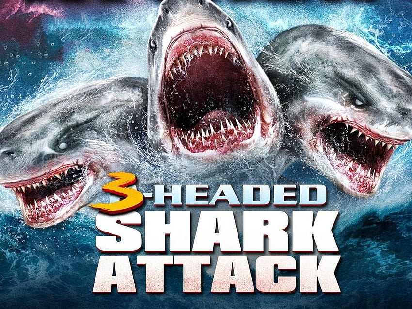 3 headed shark attack HD wallpaper