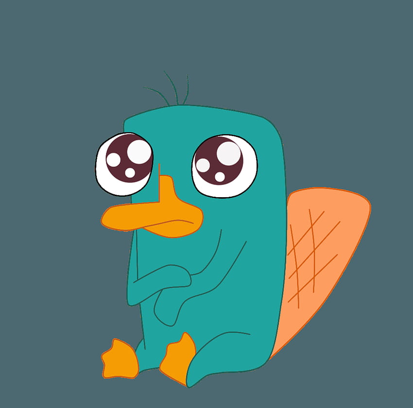 Baby Perry El Ornitorrinco fondo de pantalla | Pxfuel