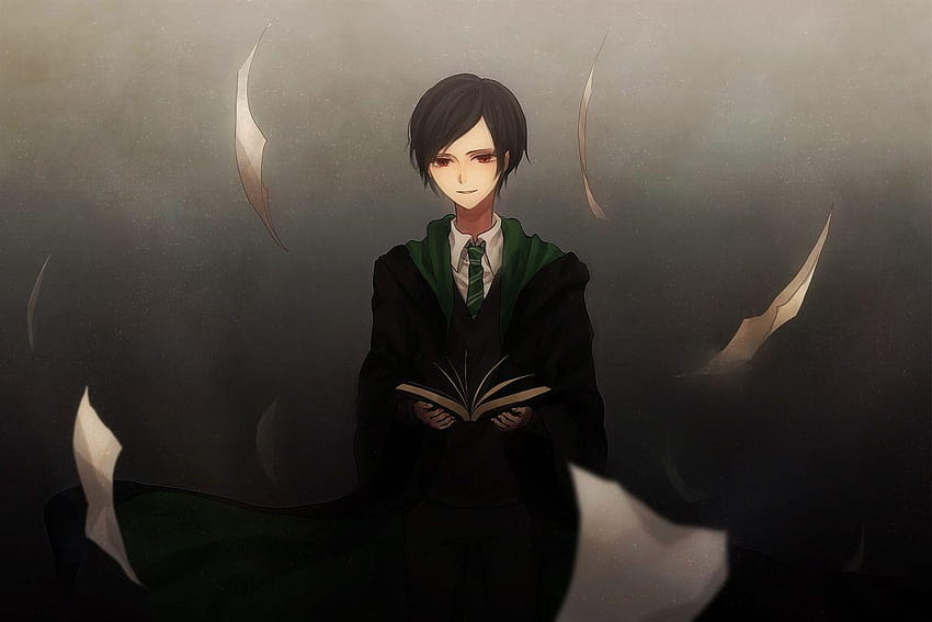Tom Marvolo Riddle, harry potter and voldemort HD wallpaper