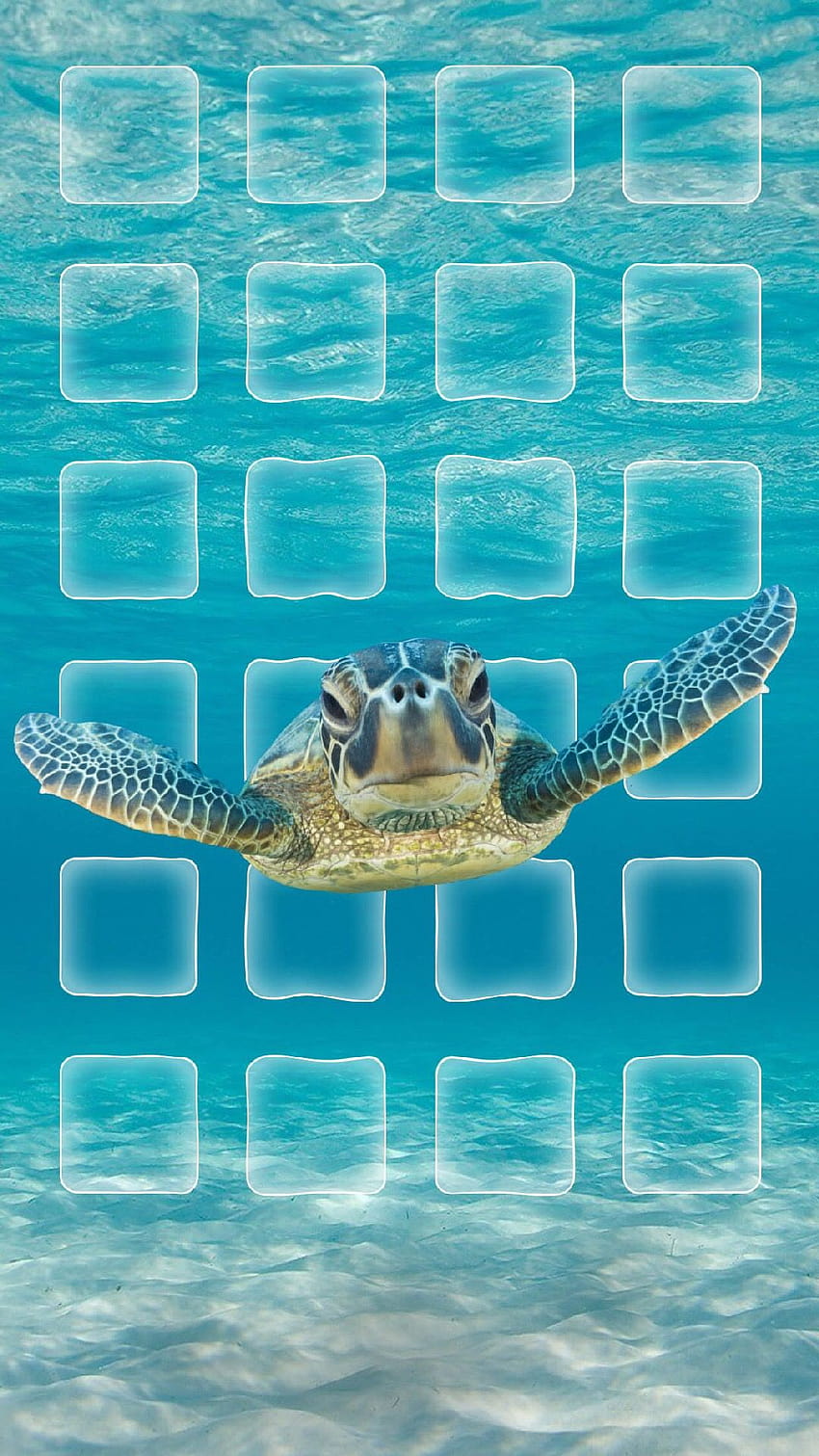 ↑↑TAP AND GET THE APP! Nature Turtle Under the Sea Blue Animal Icons Beach Shining Summer Sand Su… HD phone wallpaper