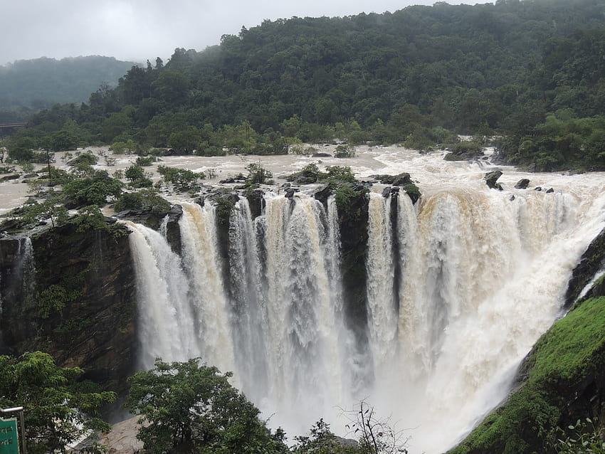 Karnataka: İşadamı, Karşılığında Hiçbir Şey İstemeden Jog Falls'u Çok Yıllık Bir Düşüş Haline Getirmek İçin 450 Crore Yatırım Yapacak HD duvar kağıdı