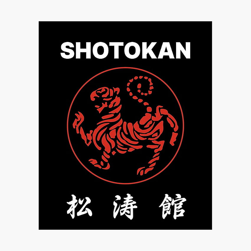 Shotokan karate HD phone wallpaper