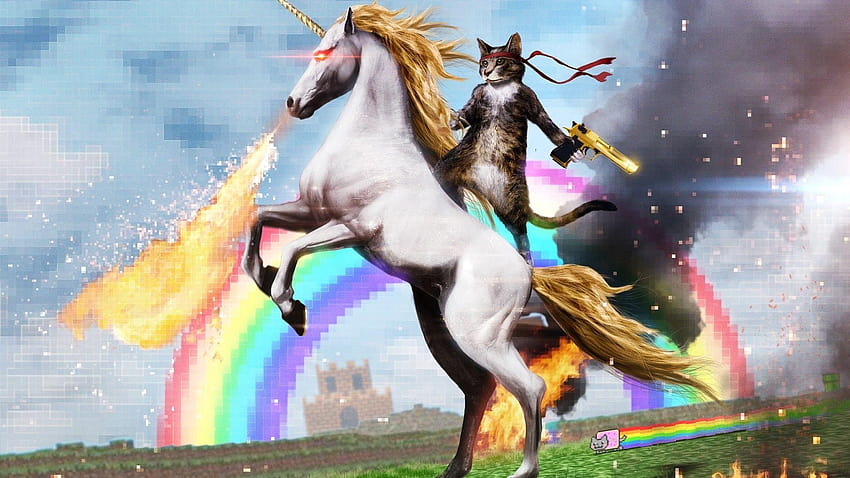 İnternet, tek boynuzlu atlar, komik, sanat eseri, Nyan Cat ::, neon kedi HD duvar kağıdı