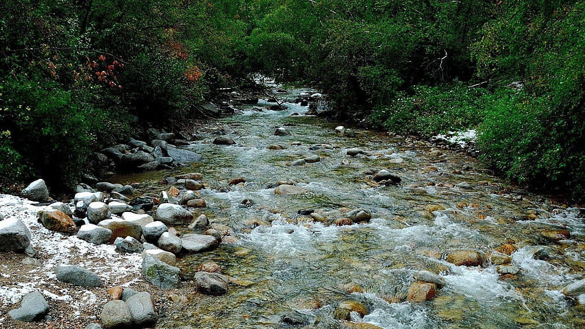 Potok natury Tapeta HD