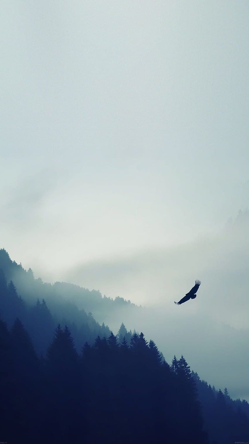 Vogel fliegt über nebligen Wald iPhone 6 Plus, fliegende Vögel mobil HD-Handy-Hintergrundbild