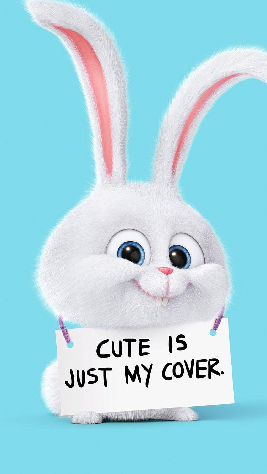 Cute Rabbit Is Just My Cover HD phone wallpaper