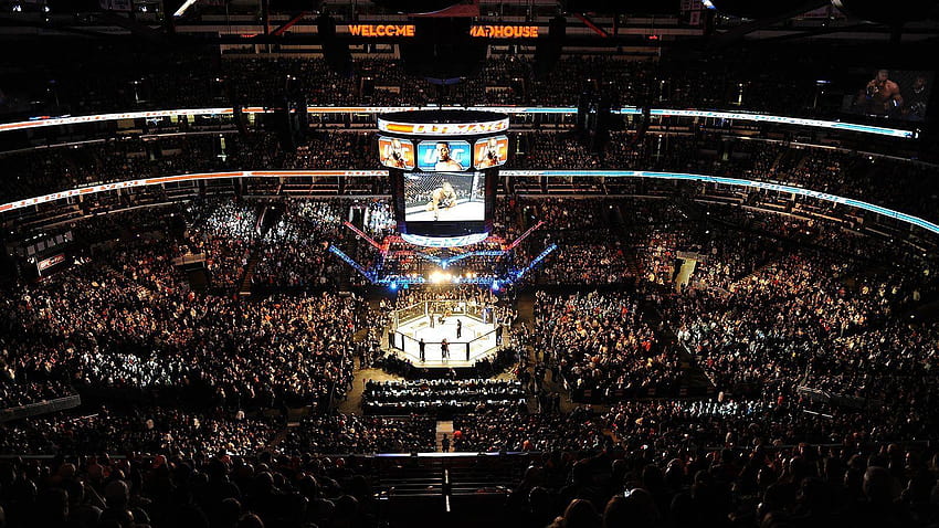 Ufc , Fundos UFC para PC, octógono papel de parede HD