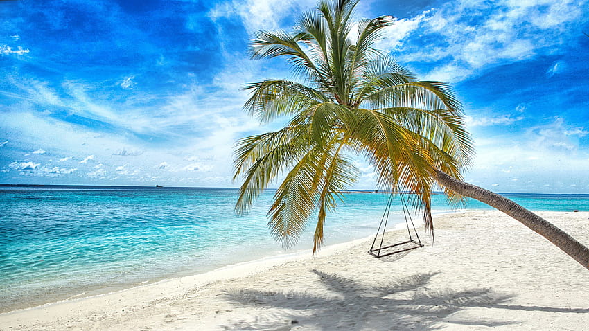 Swing Beach Sea Nature Palms Tropics 3840x2160, swing on the beach HD wallpaper