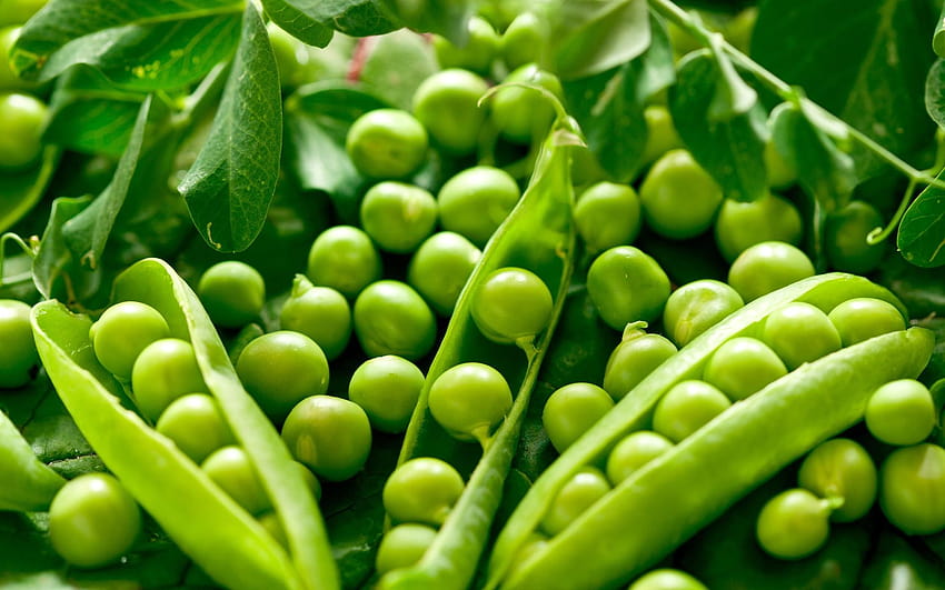 Green vegetables peas HD wallpaper