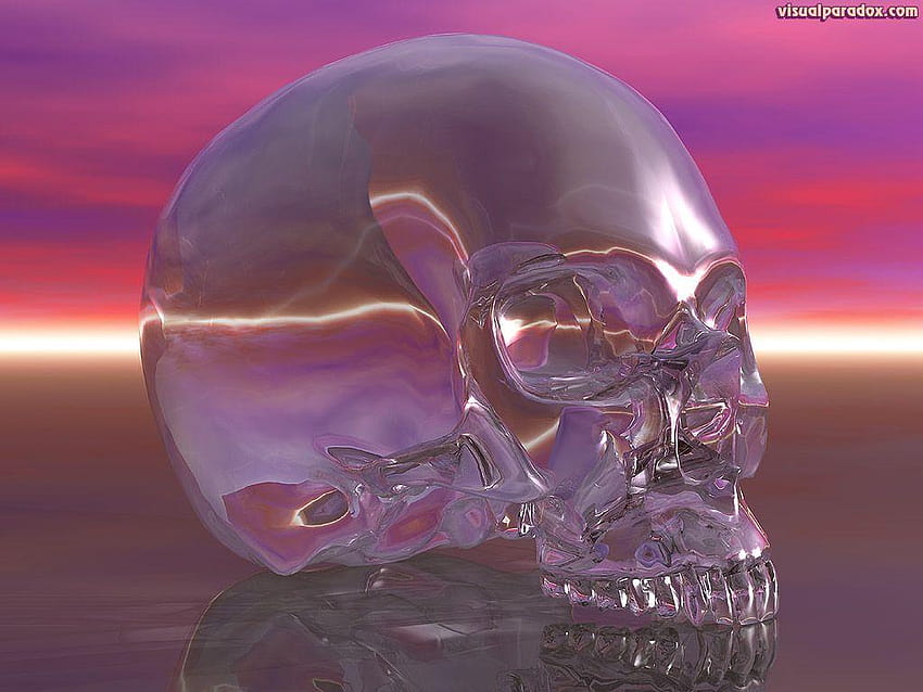 Visual Paradox – 3D & Crystal Skull, iridescent skull and bones HD wallpaper