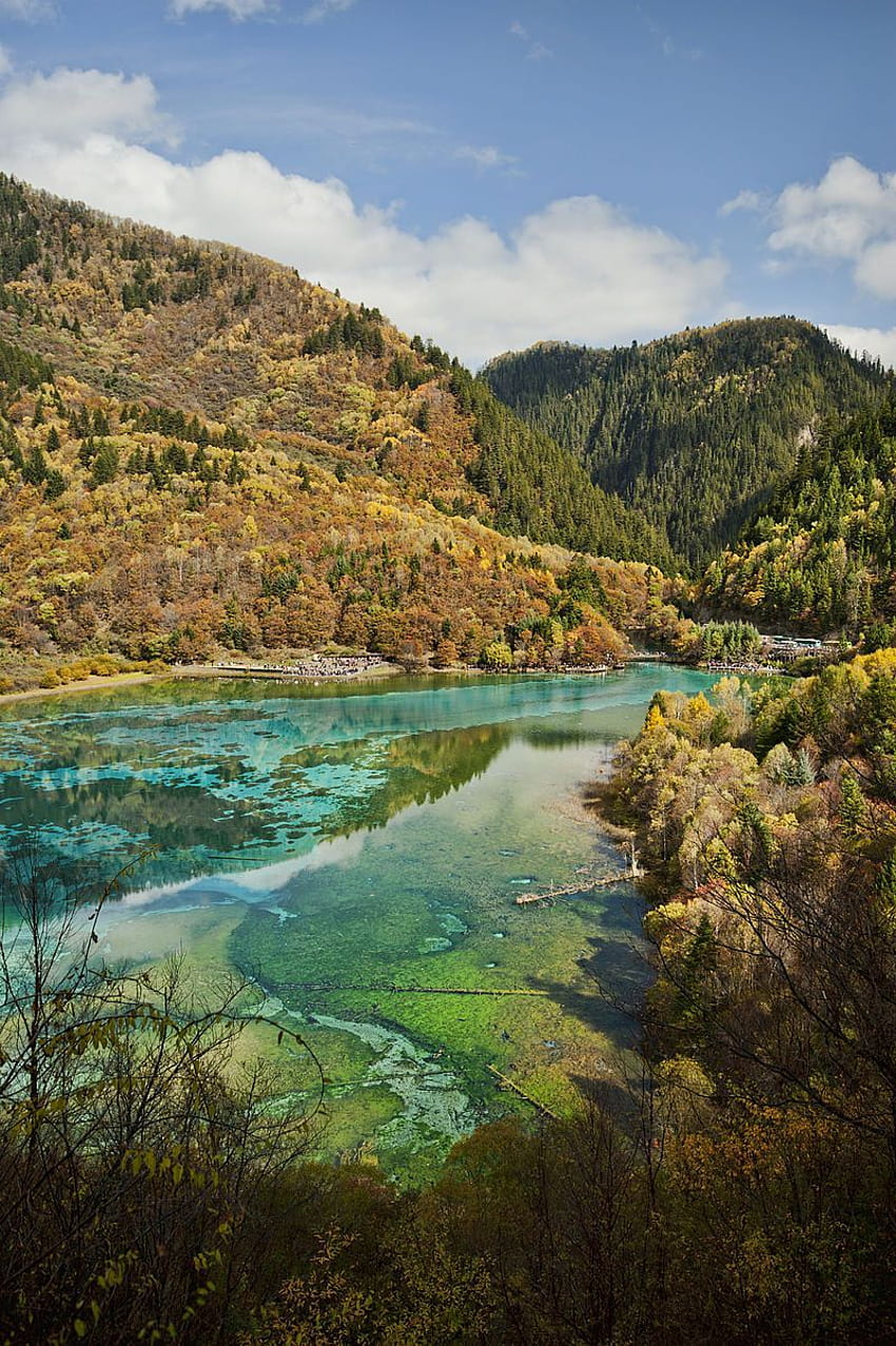 jiuzhaigou valley national park sichuan china autumn fall multi, jiuzhaigou valley autumn HD phone wallpaper