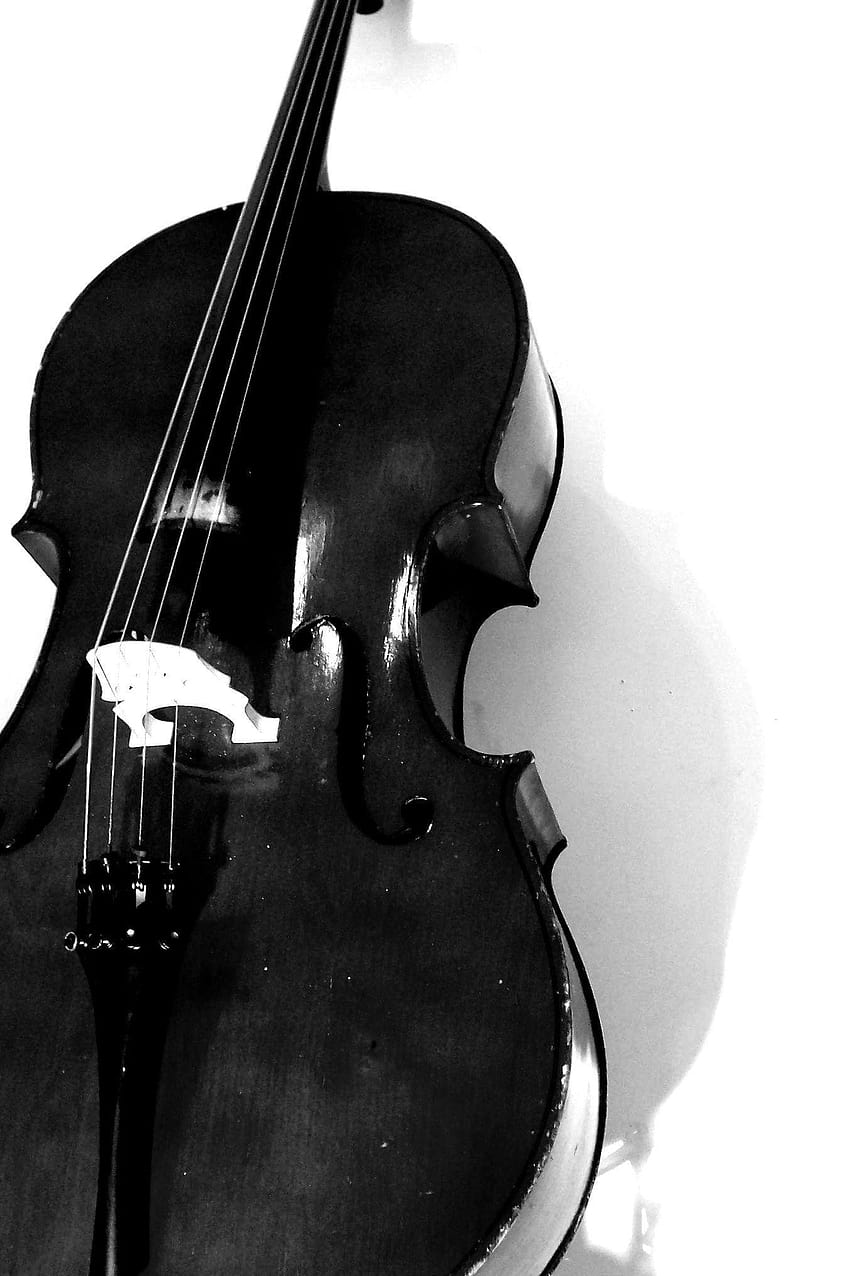 For > Black And White Cello HD phone wallpaper