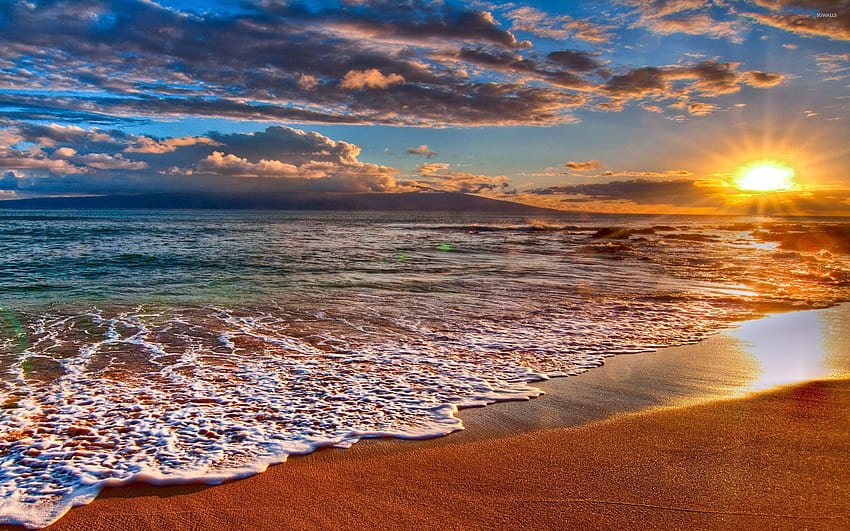 matahari terbit di pantai musim panas Wallpaper HD