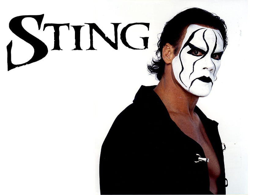 Posible apodo de Sting en WWE, wwe sting fondo de pantalla