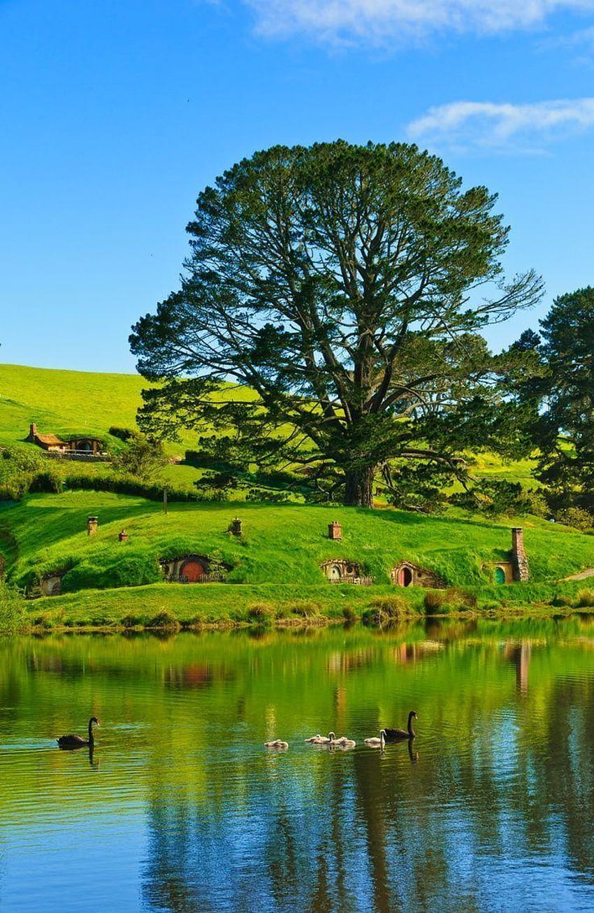 Hobbiton in New Zealand: Lovely Place of Hobbit Houses HD phone wallpaper