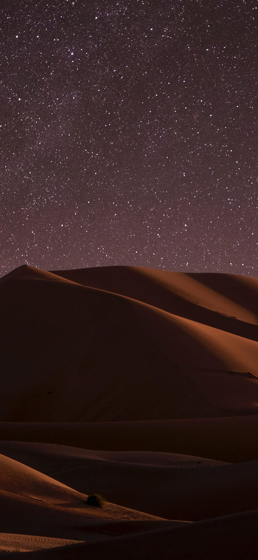 Desert, night, dune, starry, stars 1242x2688 iPhone 11 Pro/XS Max, dune iphone HD phone wallpaper