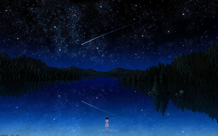 Perseid Meteor Shower, meteors HD wallpaper