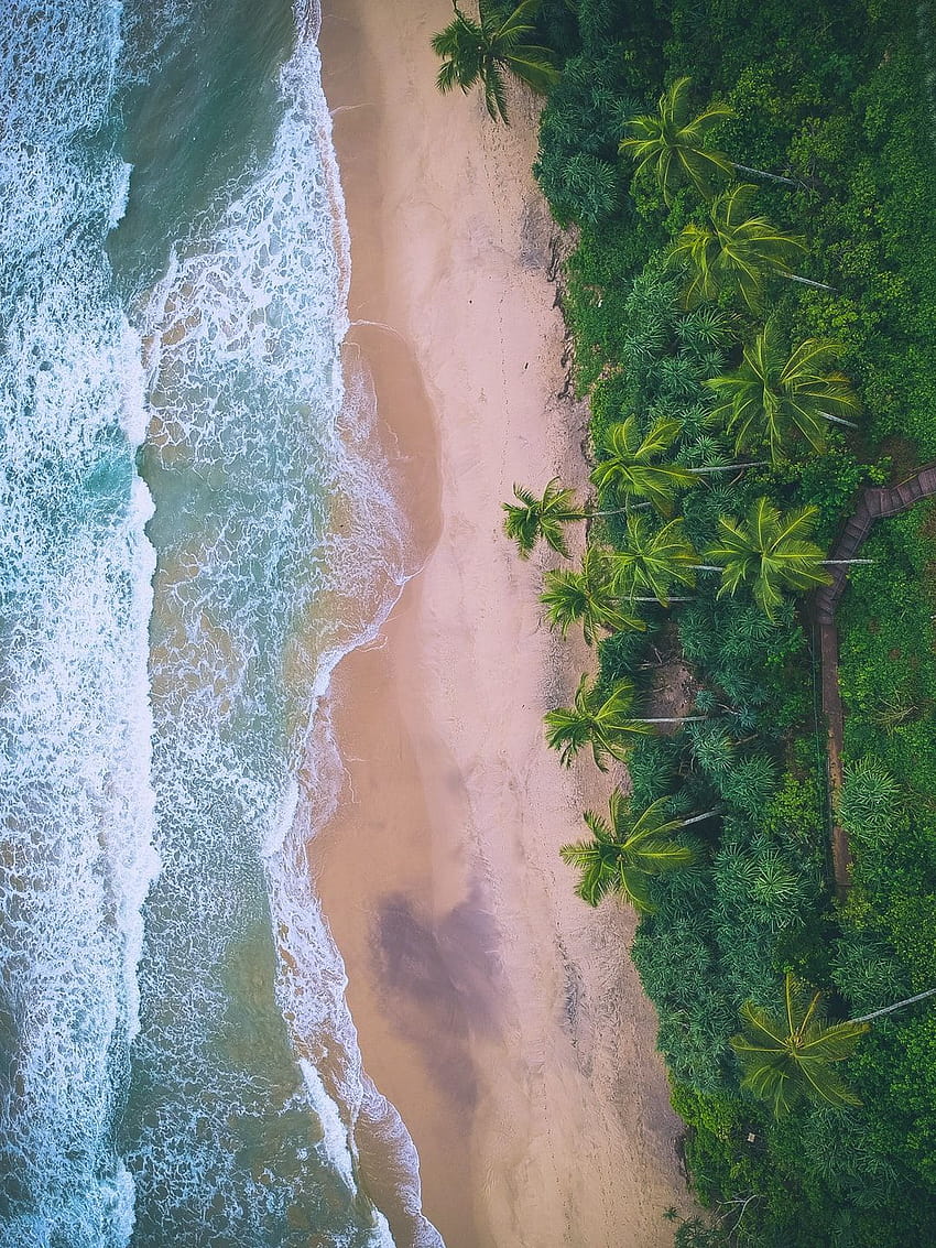 gráfico de vista da praia – Sri lanka, exótico sri lanka Papel de parede de celular HD