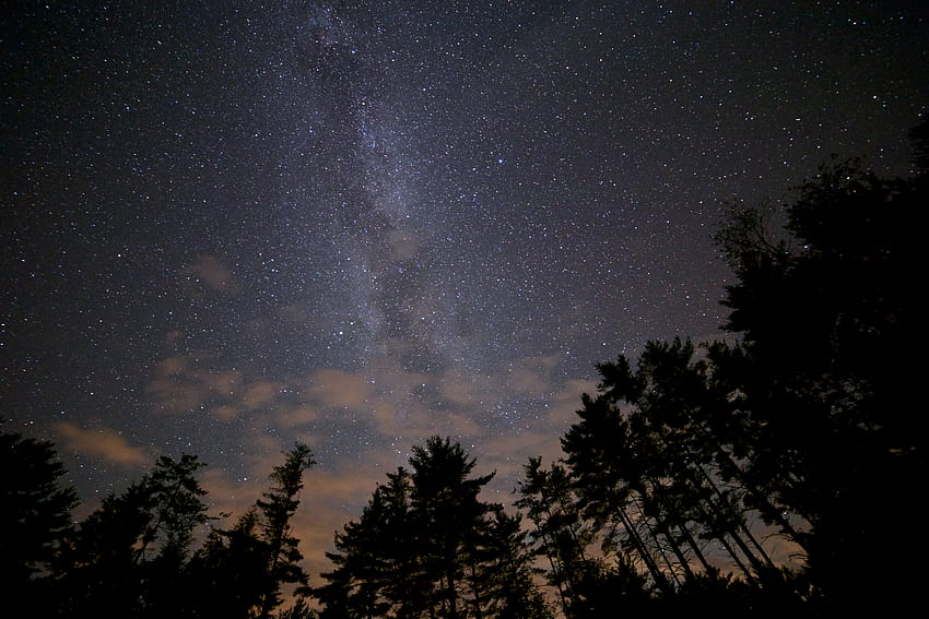 Blick nach oben in eine warme Sommernacht – Nature Stock HD-Hintergrundbild