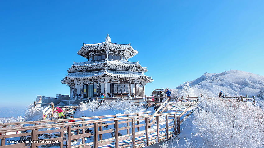 Korea Snow, south korea winter snow HD wallpaper