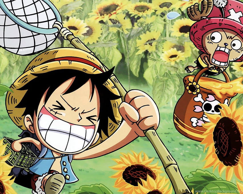 Top One Piece Todo Backgrounds HD wallpaper | Pxfuel