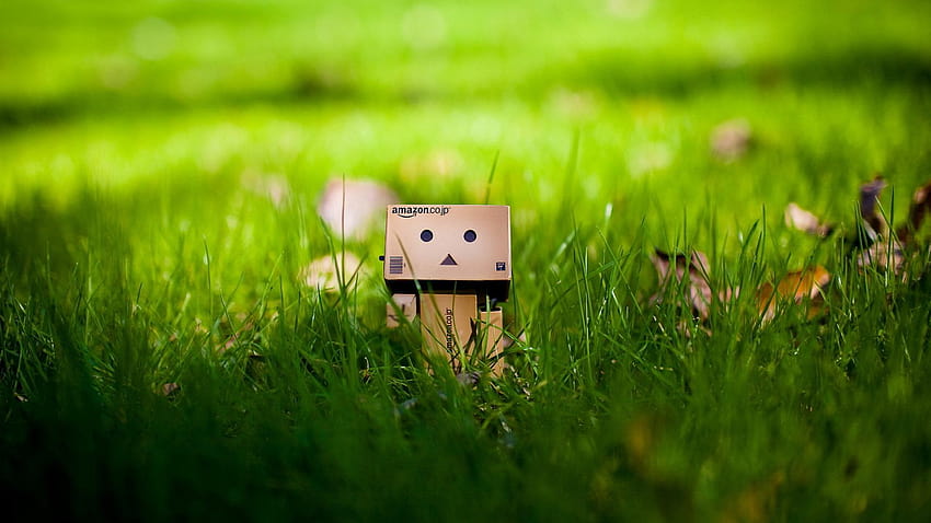 Cute Green Grass Box People Backgrounds and backgrounds, cute box robot HD wallpaper