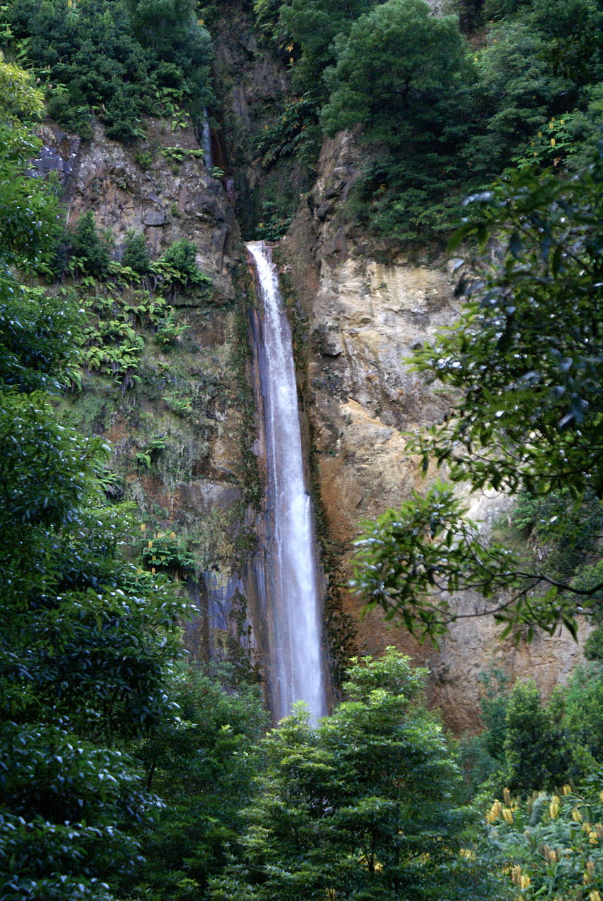 Les plus belles cascades du Portugal, les cascades des Açores Fond d'écran de téléphone HD