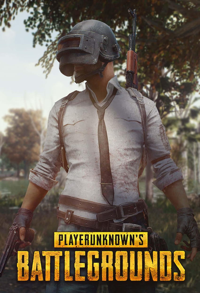 Pubg for Android, pubg kr HD phone wallpaper