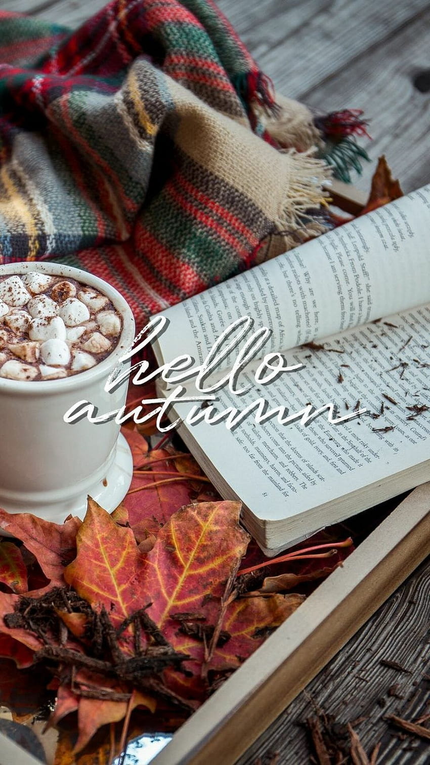 Hello Autumn Aesthetic, sweet autumn cozy HD phone wallpaper