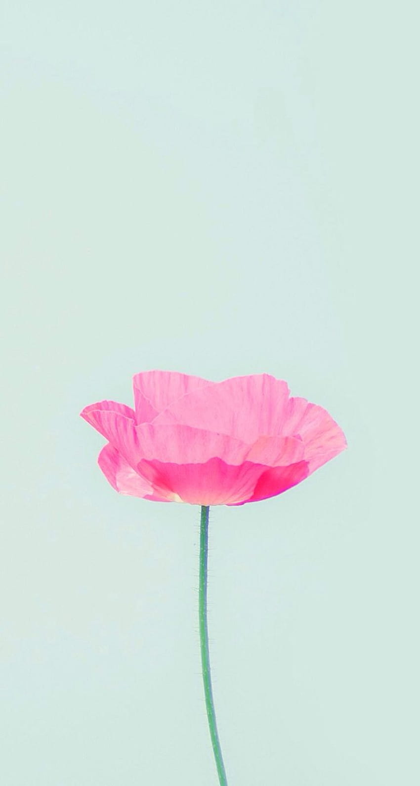 4 Cool Girly for iPhone, simple girly HD phone wallpaper