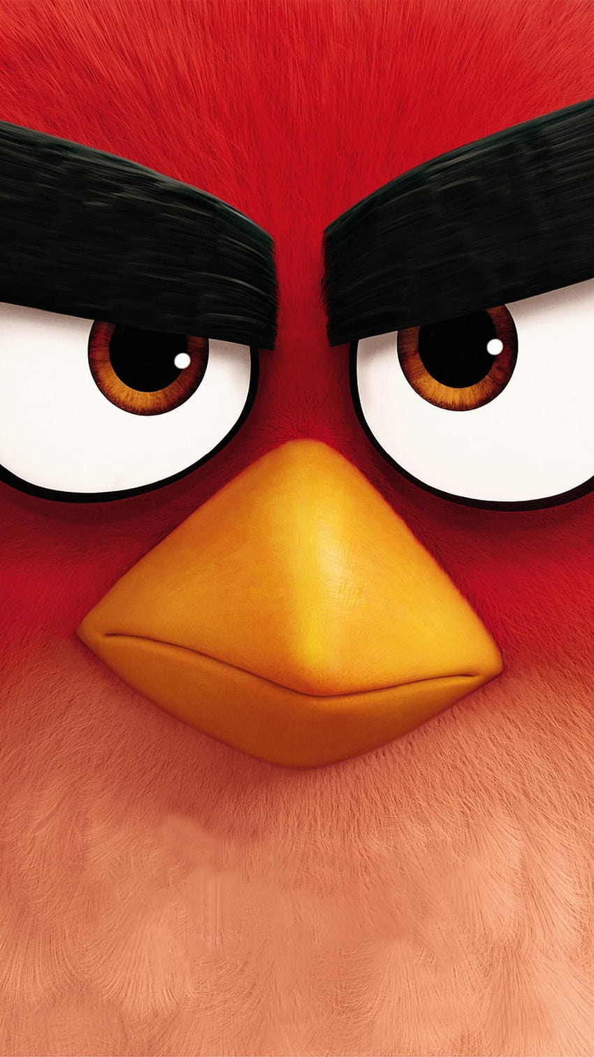 O filme Angry Birds, pássaro irritado vermelho Papel de parede de celular HD