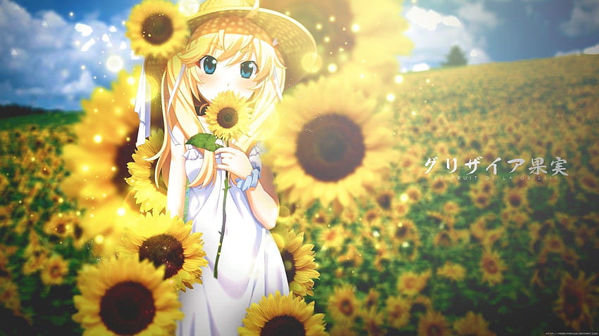 Matsushima Michiru, Grisaia no Kajitsu, sunflowers, anime girls HD wallpaper