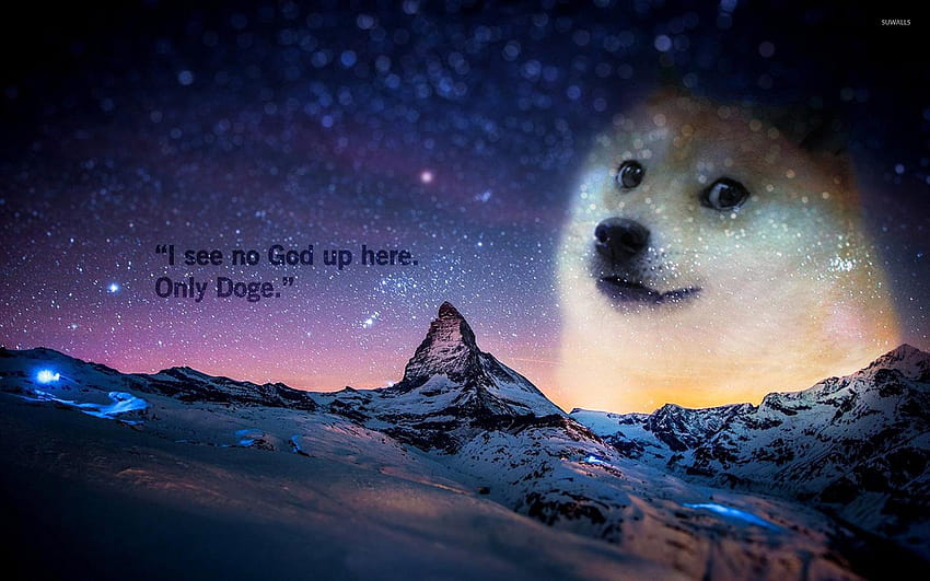 4 Doge Meme, czyste memy Tapeta HD