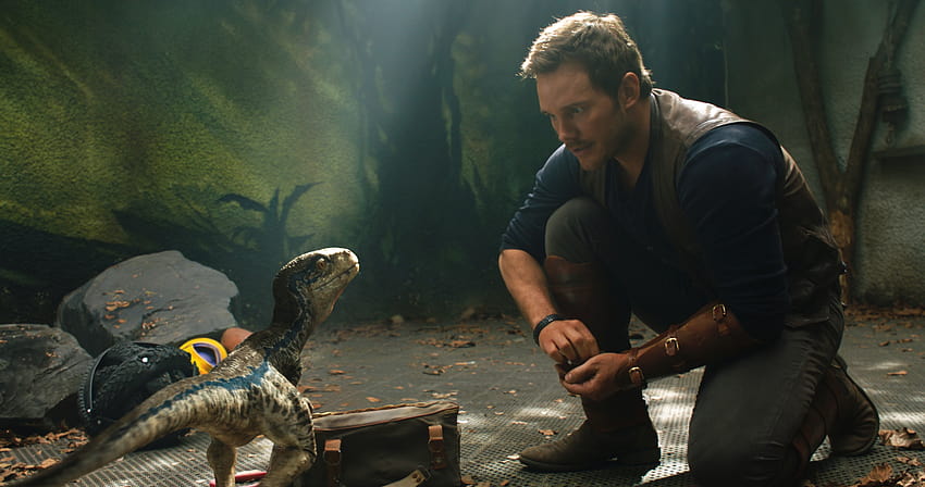 1280x2120 Chris Pratt e Little Raptor Jurassic World iPhone 6 plus, filmes e planos de fundo papel de parede HD