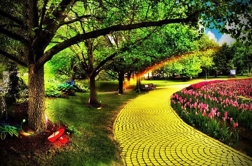 Follow the Yellow Brick Road to Greater Child Cooperation HD wallpaper |  Pxfuel