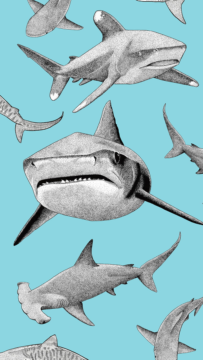 Wall Mural Photo Wallpaper Hammerhead Shark  Order now