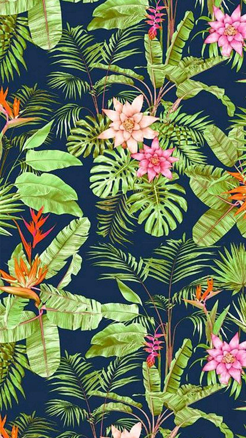 Flowers Jungle Vegetation, mobile jungle HD phone wallpaper