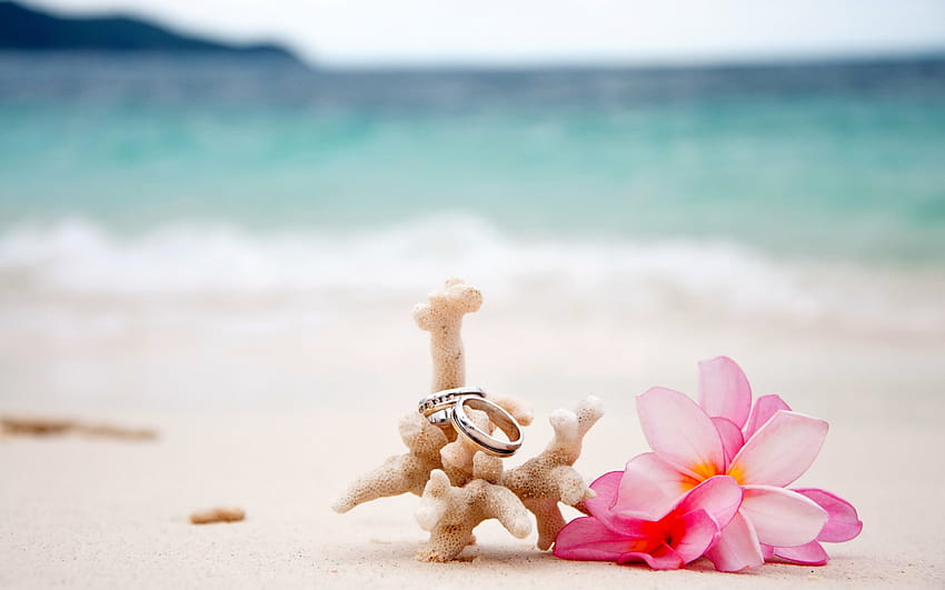 wedding rings, sand, beach, wedding on islands, beach flowers HD wallpaper