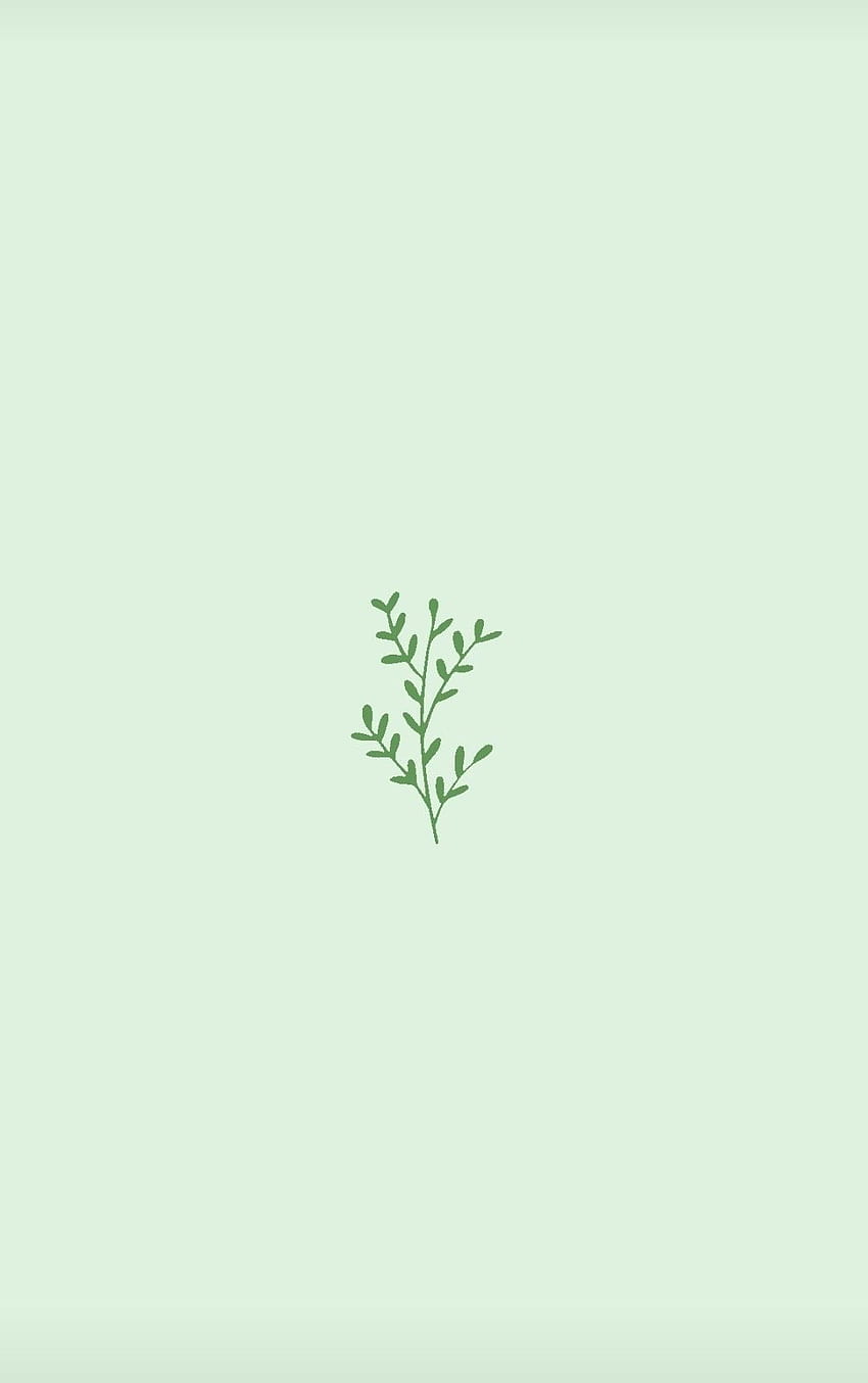 Simple Green Aesthetic Wallpapers  Top Free Simple Green Aesthetic  Backgrounds  WallpaperAccess