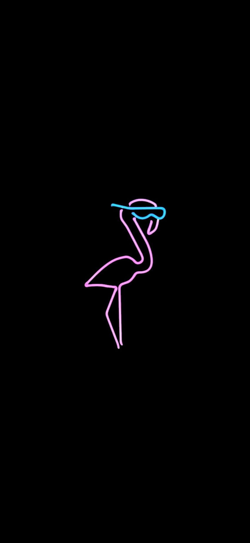 Neonflamingo: iphonex, Flamingo Albert HD-Handy-Hintergrundbild