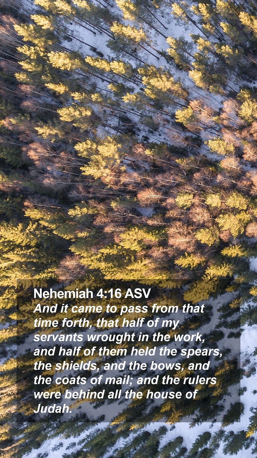Nehemiah 4:16 ASV Mobile Phone HD phone wallpaper