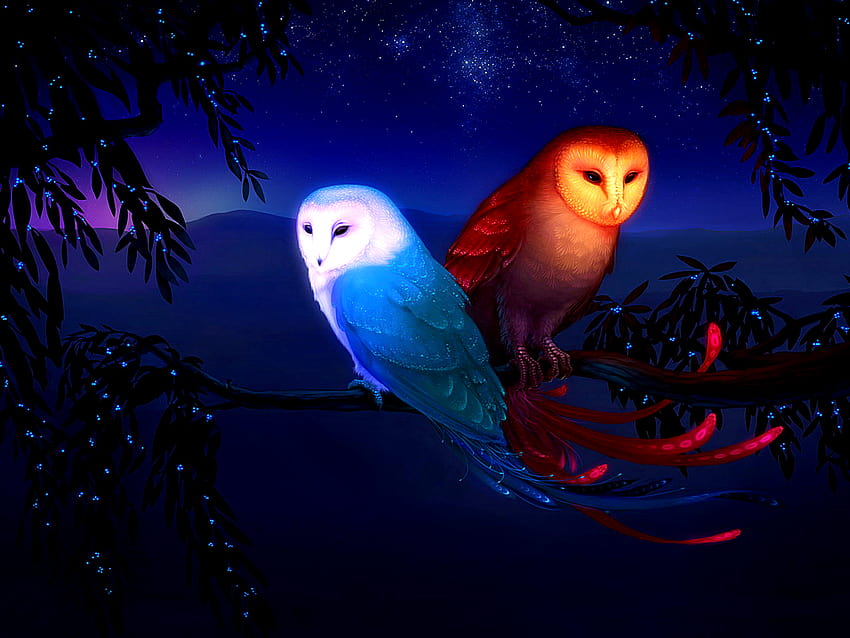 desktop wallpaper fantasy owls neon owl