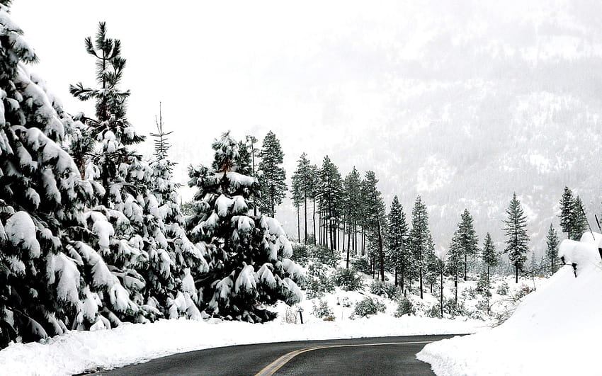 Apple Mac Winter Winter On The Road On Mac [2560x1600] for your , Mobile & Tablet, winter aesthetic mackbook HD wallpaper
