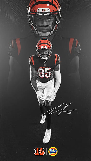 Cincinnati Bengals on Twitter We know youve been wanting these   Wallpaper Wednesday  Swift Meats httpstcoPZzwRiyMI9  X