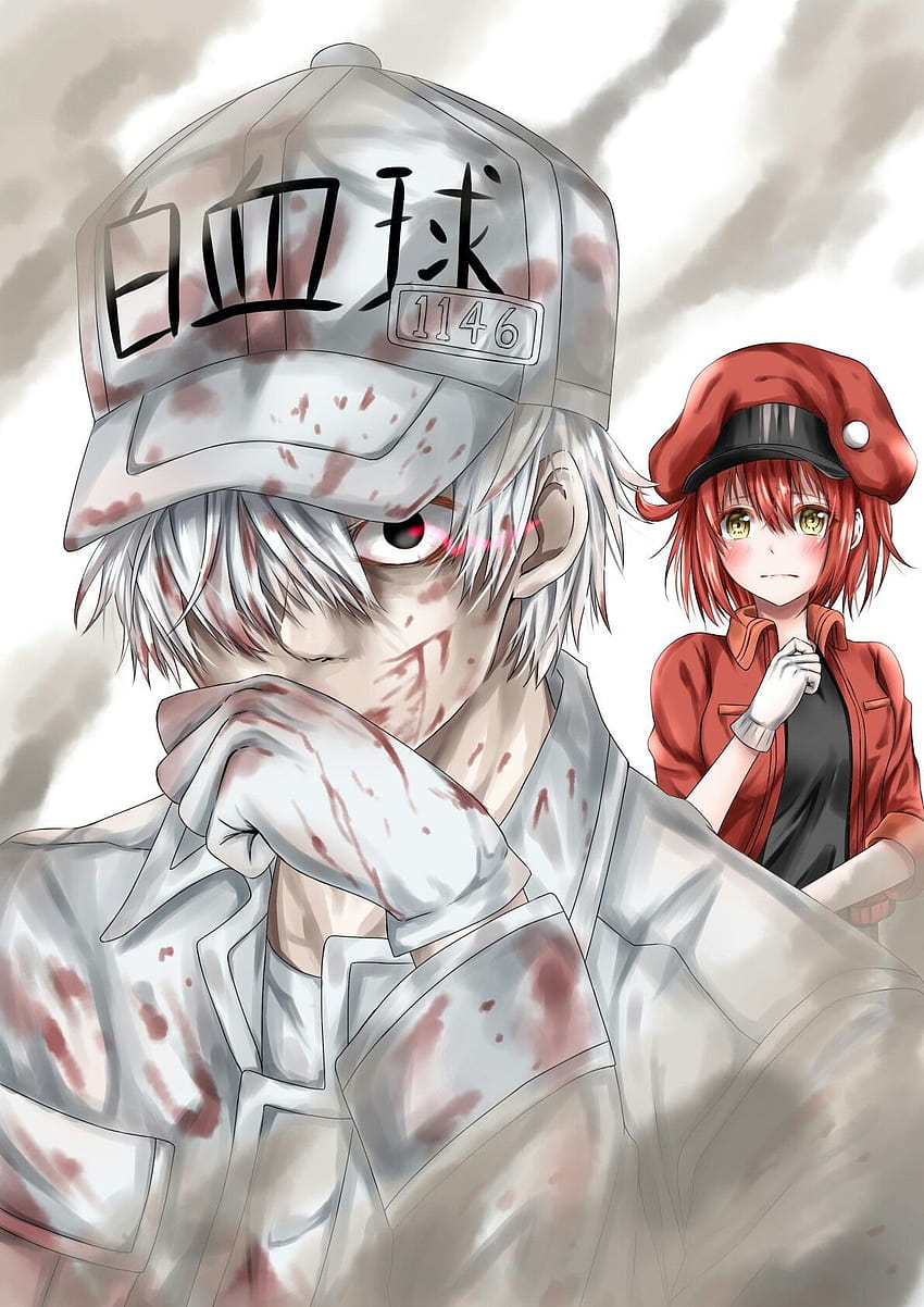 Hataraku Saibou 1080×1920 – Kawaii Mobile