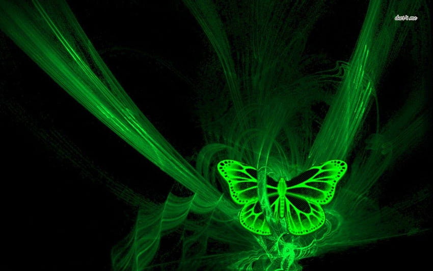 Fluorescent green butterfly, neon green butterflies HD wallpaper